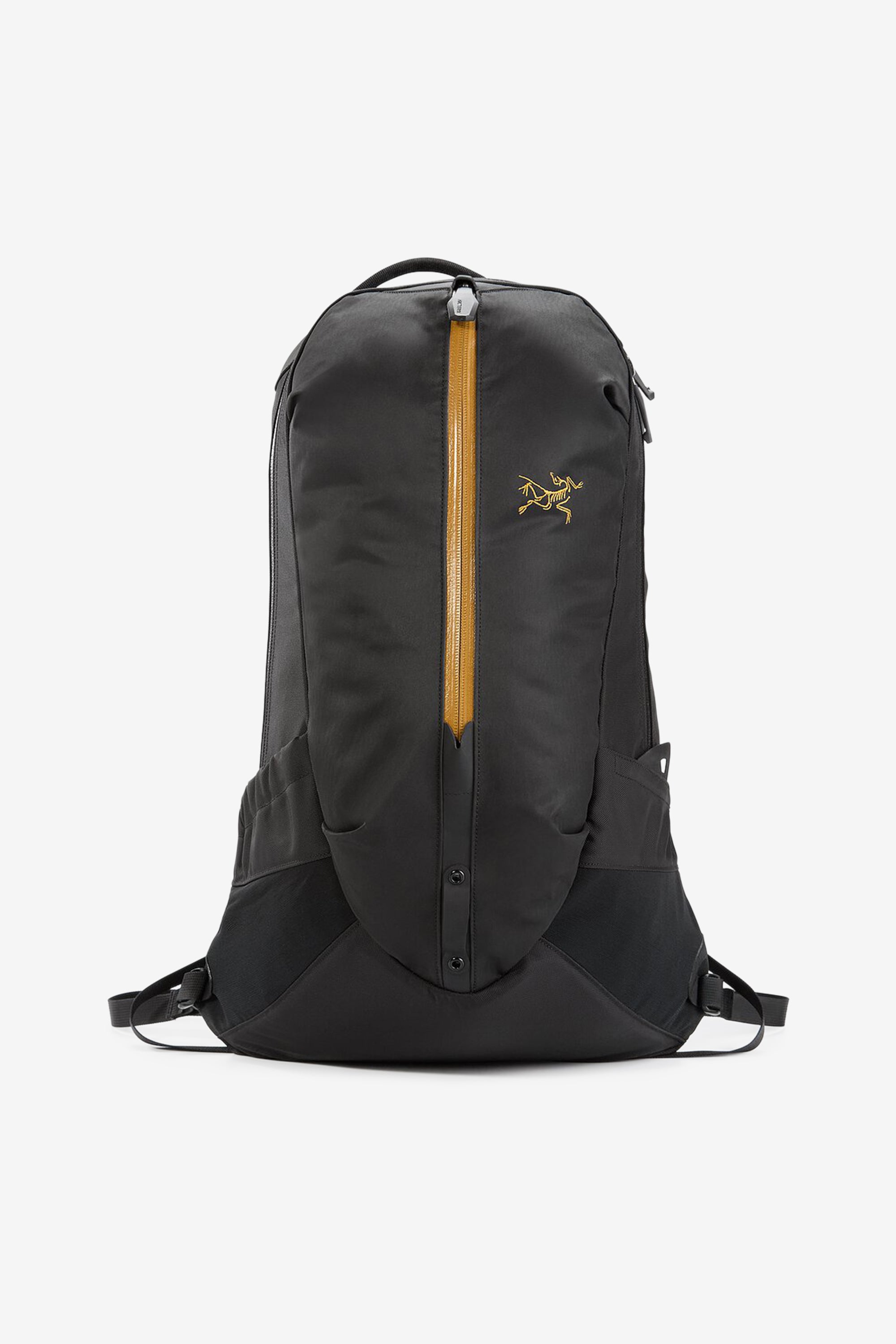 Arc'teryx Arro 22 Backpack in 24K Black – BOUTIQUE TAG