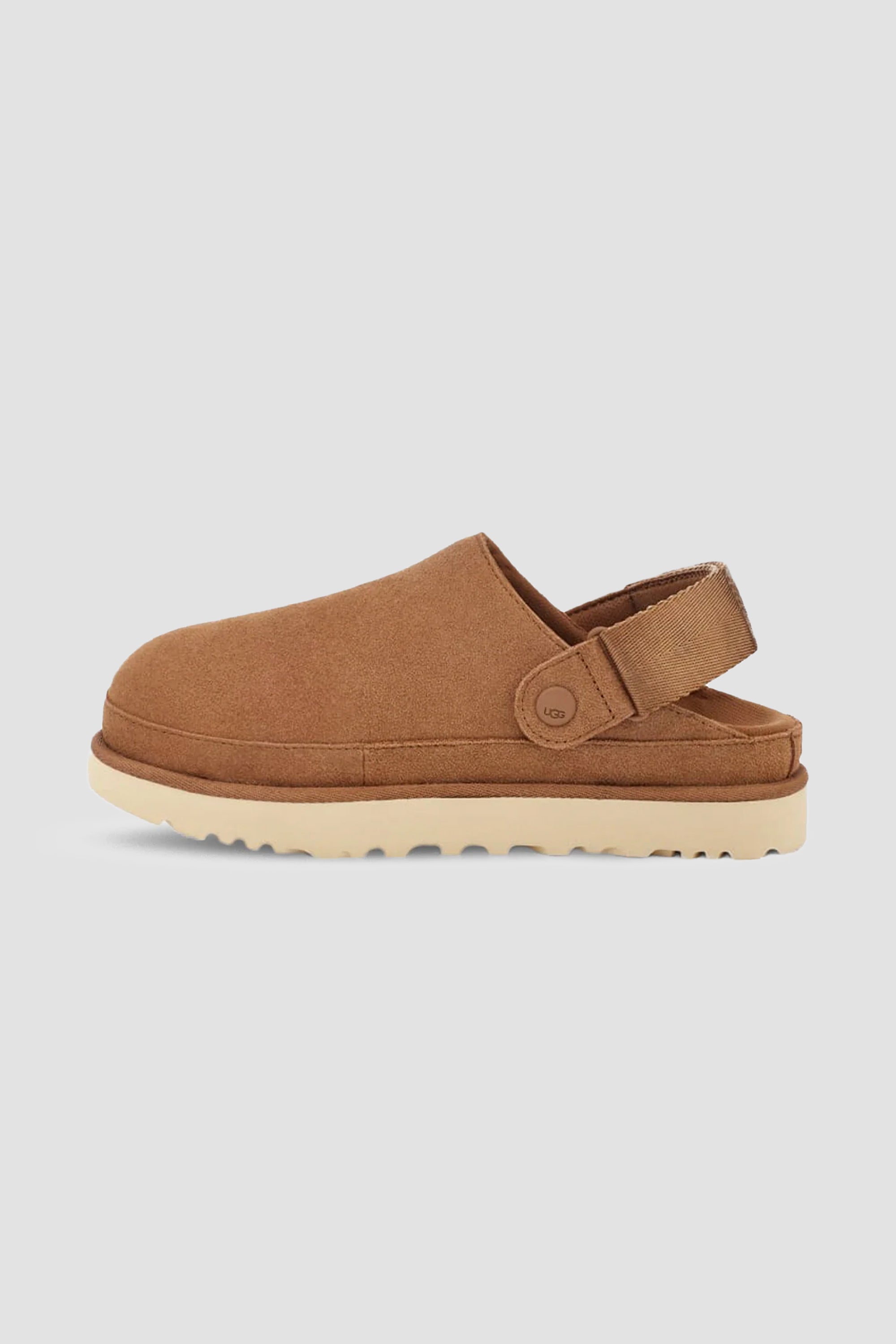 UGG Women's Goldenstar Clog in Chestnut