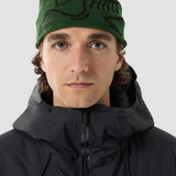 Arc'teryx Bird Head Toque