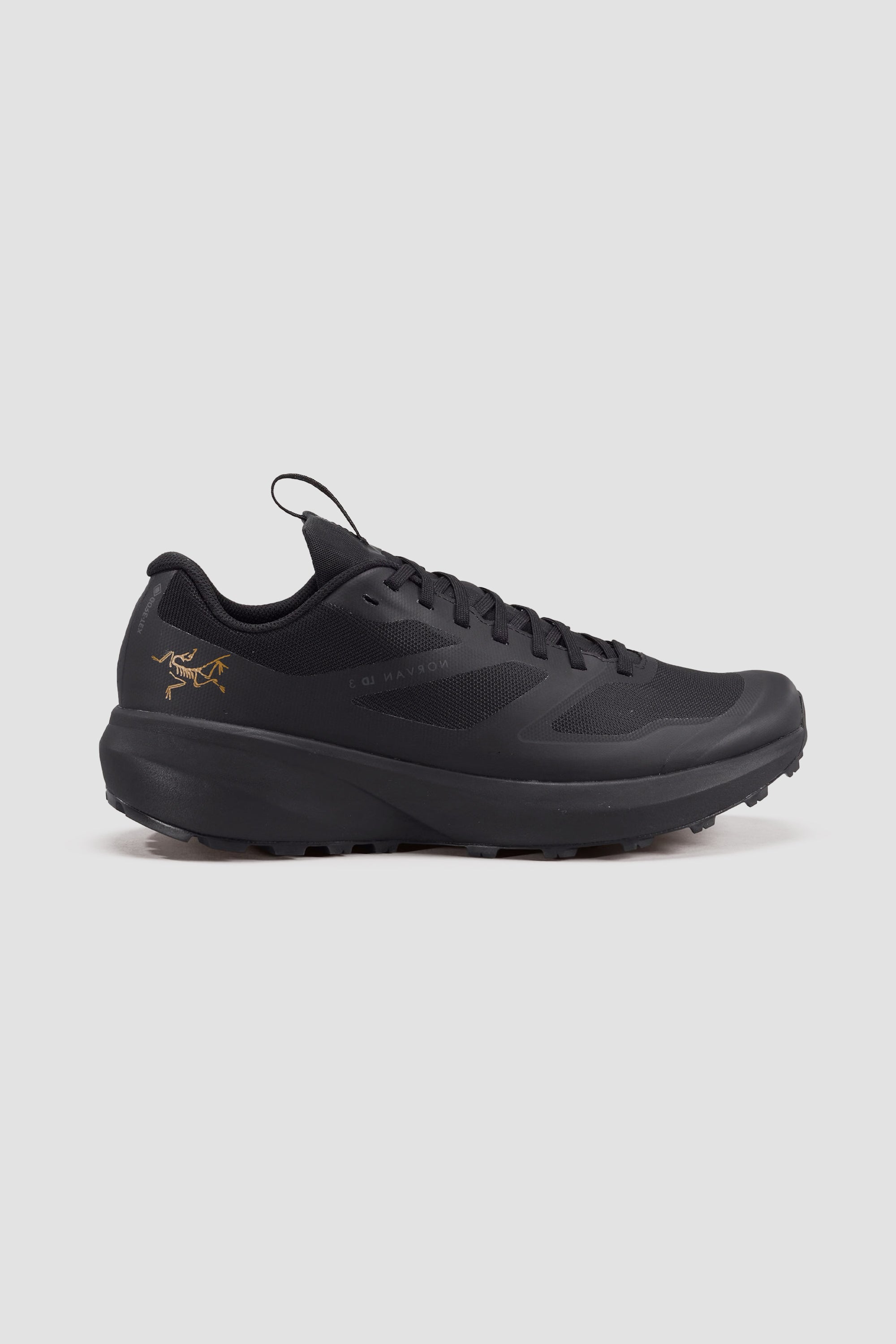 Arc'teryx Men's Norvan LD 3 GTX Shoe Men's