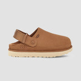 UGG Women's Goldenstar Clog in Chestnut